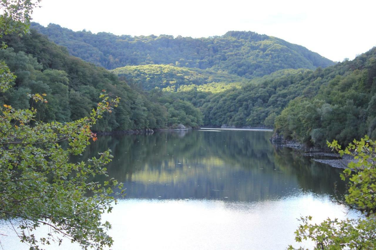 Bed and Breakfast Maison Le Barrage Saint-Gervais-dʼAuvergne Exterior foto